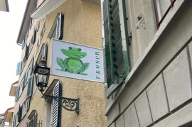 Brockenstube Frosch