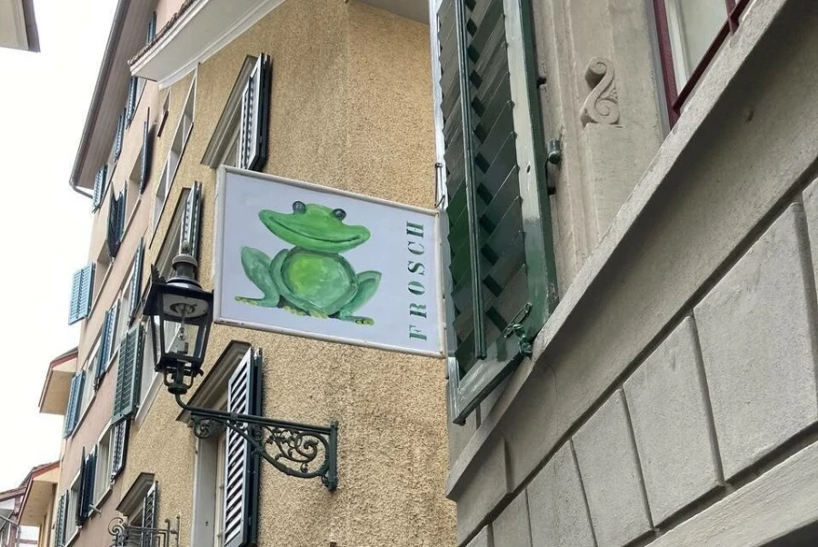 Brockenstube Frosch Brockenstube Frosch