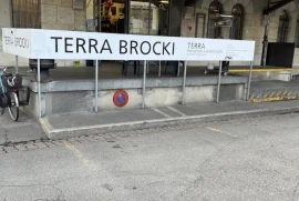 Terra-Brocki