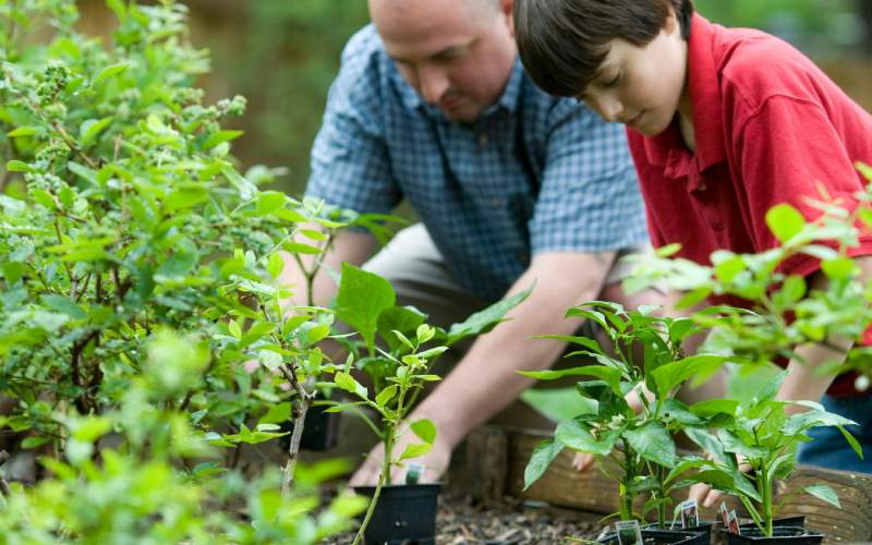Grüner leben leicht gemacht – Nachhaltigkeit beginnt im Alltag